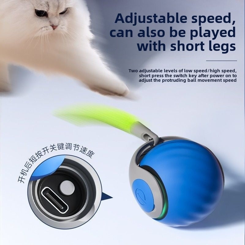 Zubo – Suction Ball Toy for Dogs & Cats