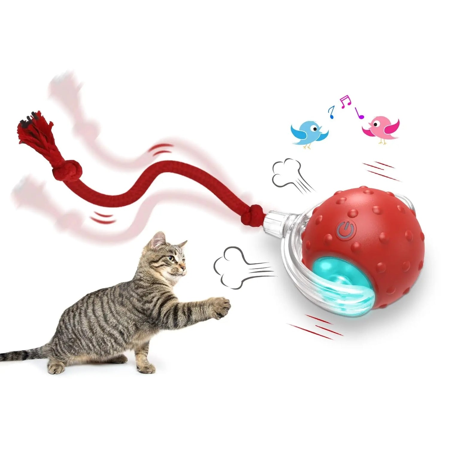 Zuni – Interactive Rolling Ball Toy for Curious Cats